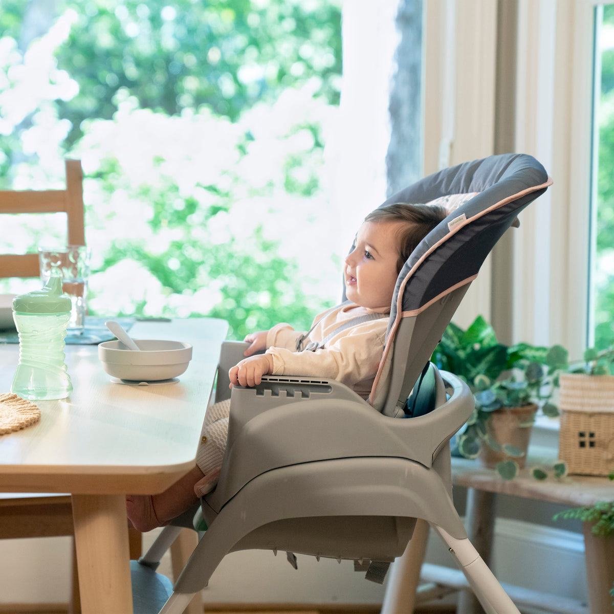 6-in-1 High Chair T250