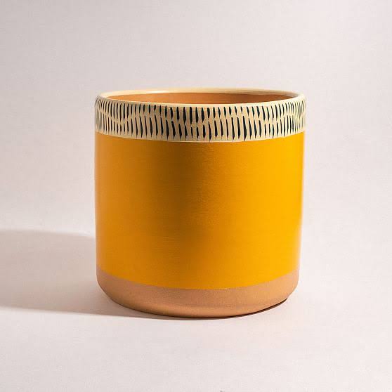 Medium Terracotta Pot U7597