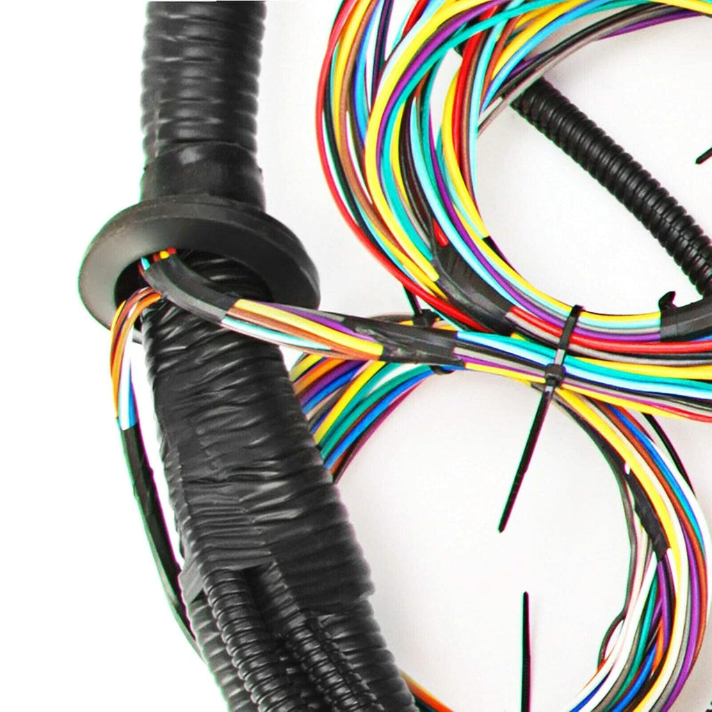 Standalone Harness with Fuel Injector Connectors C20770