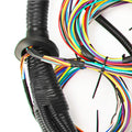 Standalone Harness with Fuel Injector Connectors C20770