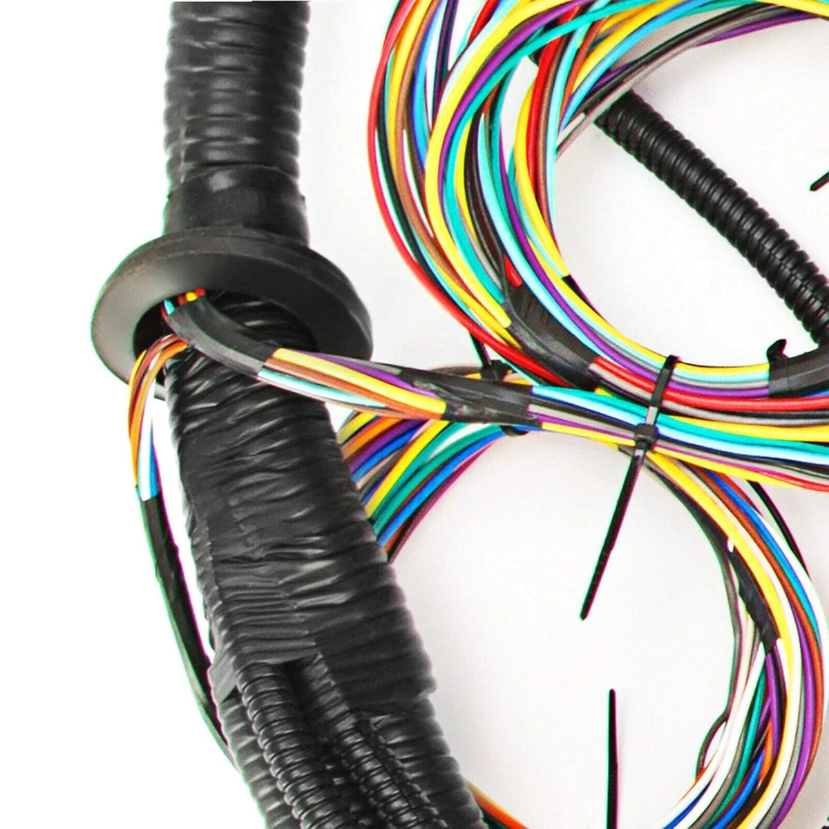 Standalone Harness with Fuel Injector Connectors C20770