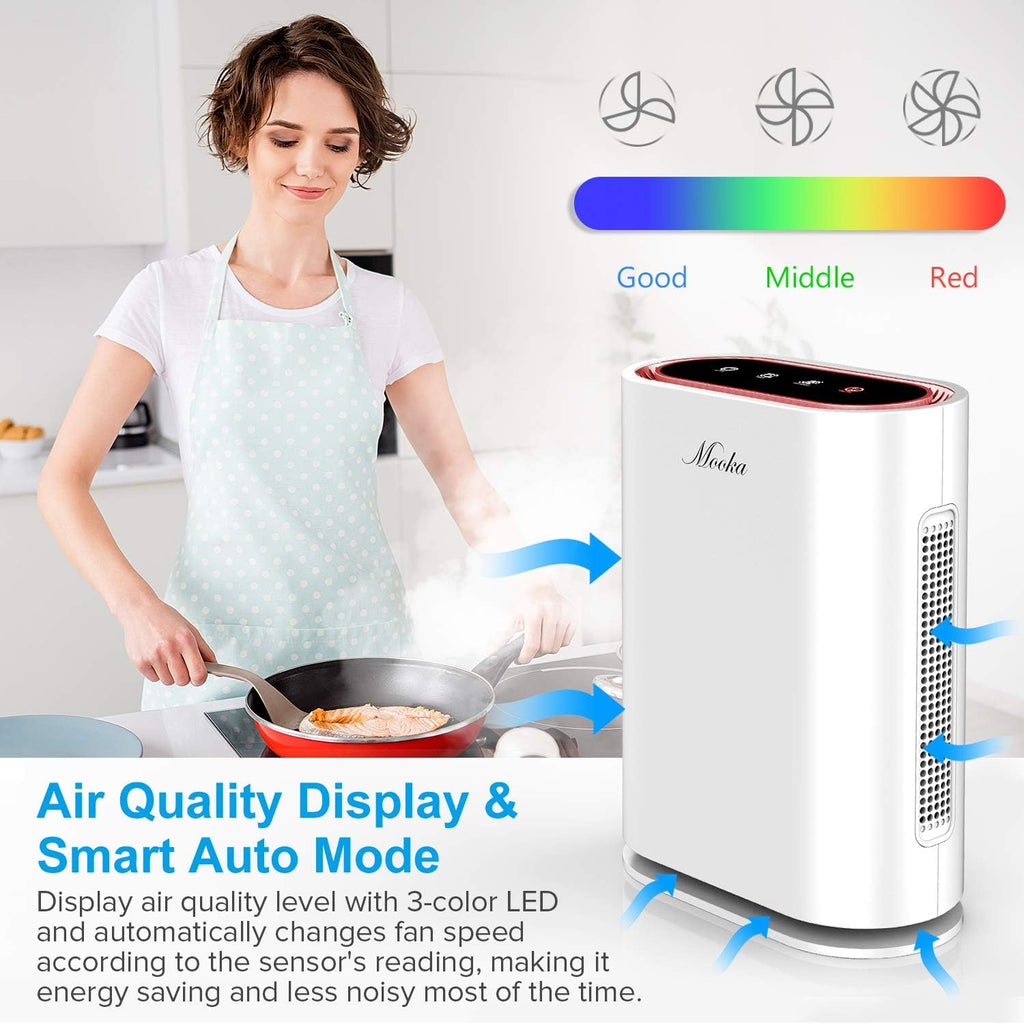 HEPA Air Purifier with Activated Carbon Filter L6579