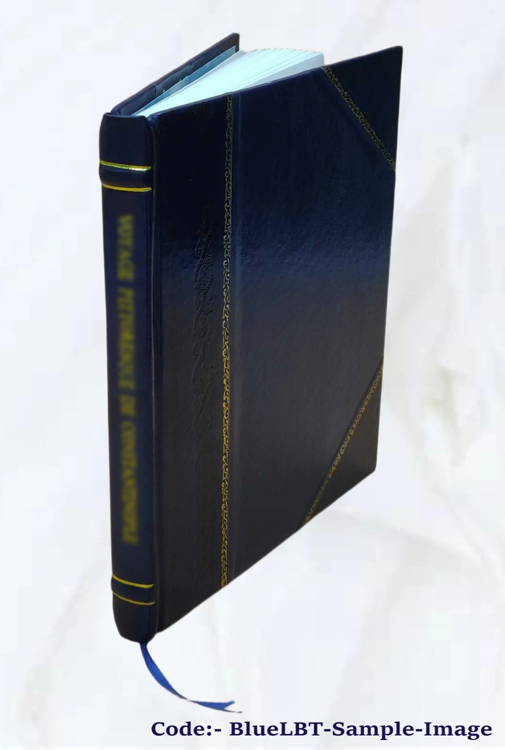 Leather Bound Book A829