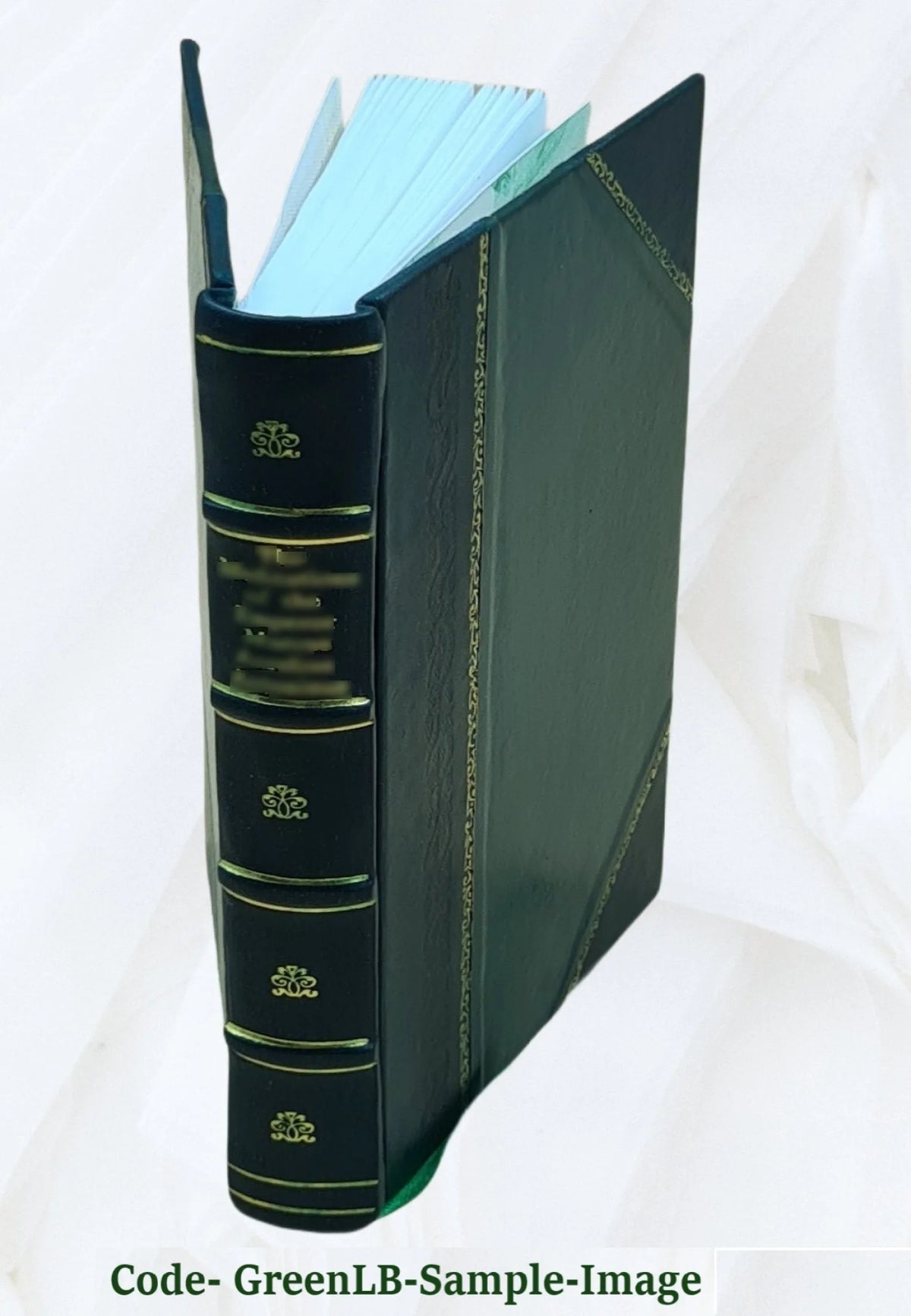 Leather Bound Book R698386