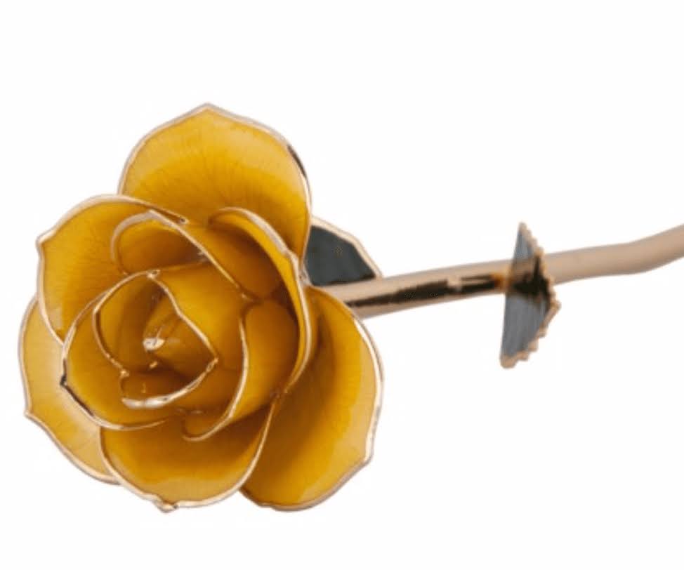 24K Gold Dipped Laquered Rose A613132