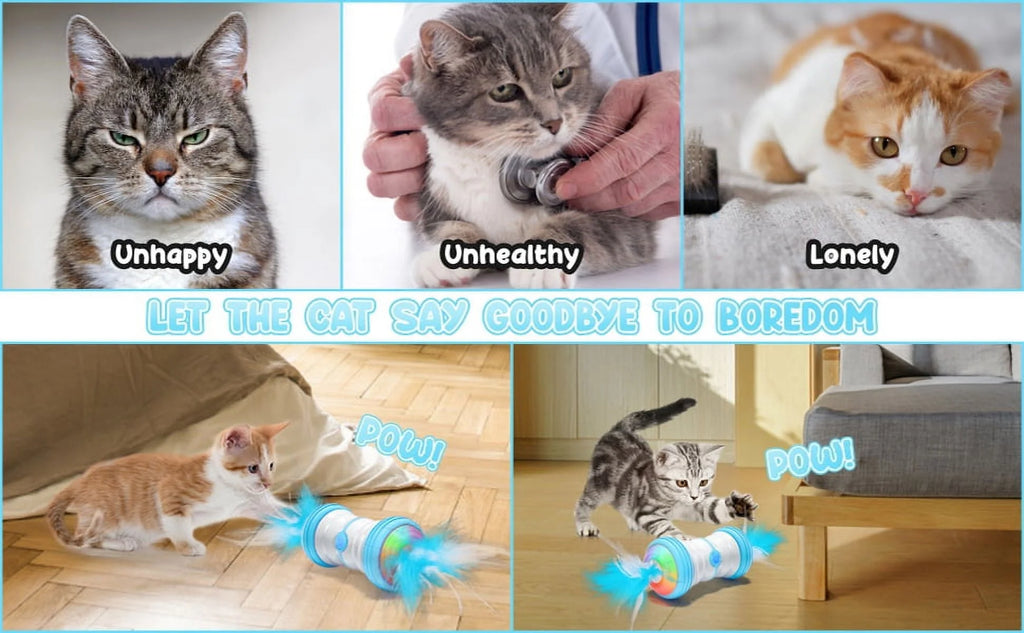 Blue Interactive Cat Toy G860093