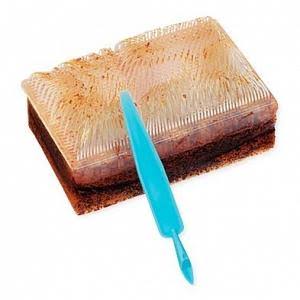 Surgical Brushes Impregnated with 3% Chloroxylenol 30/bx O26697