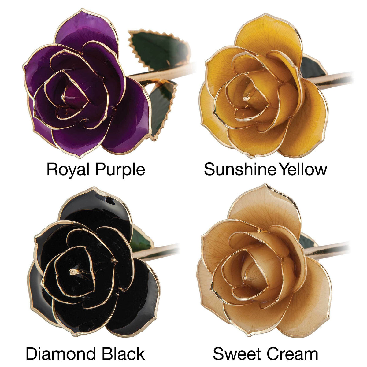 24K Gold Dipped Laquered Rose A613132