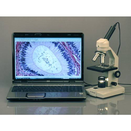 40X-1000X Student Compound Microscope with Mechanical Stage I660047