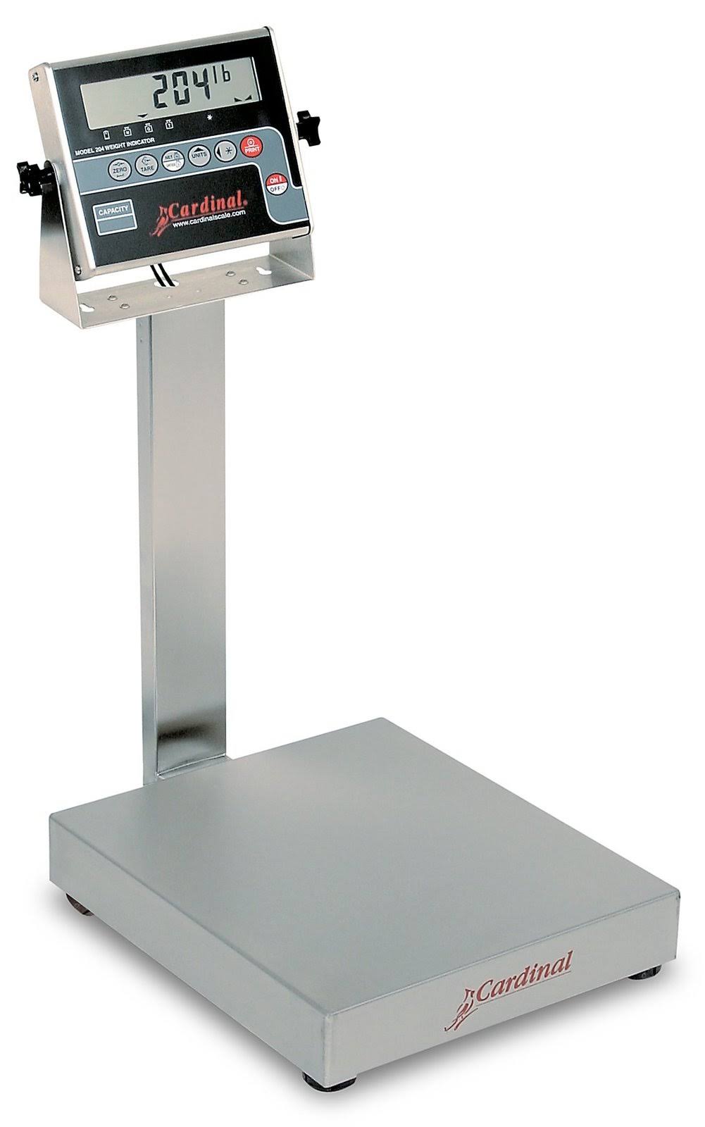 Stainless Steel Bench Scale 30-lb Capacity U815664