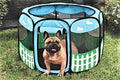 Pop-up Pet Playpen S92713