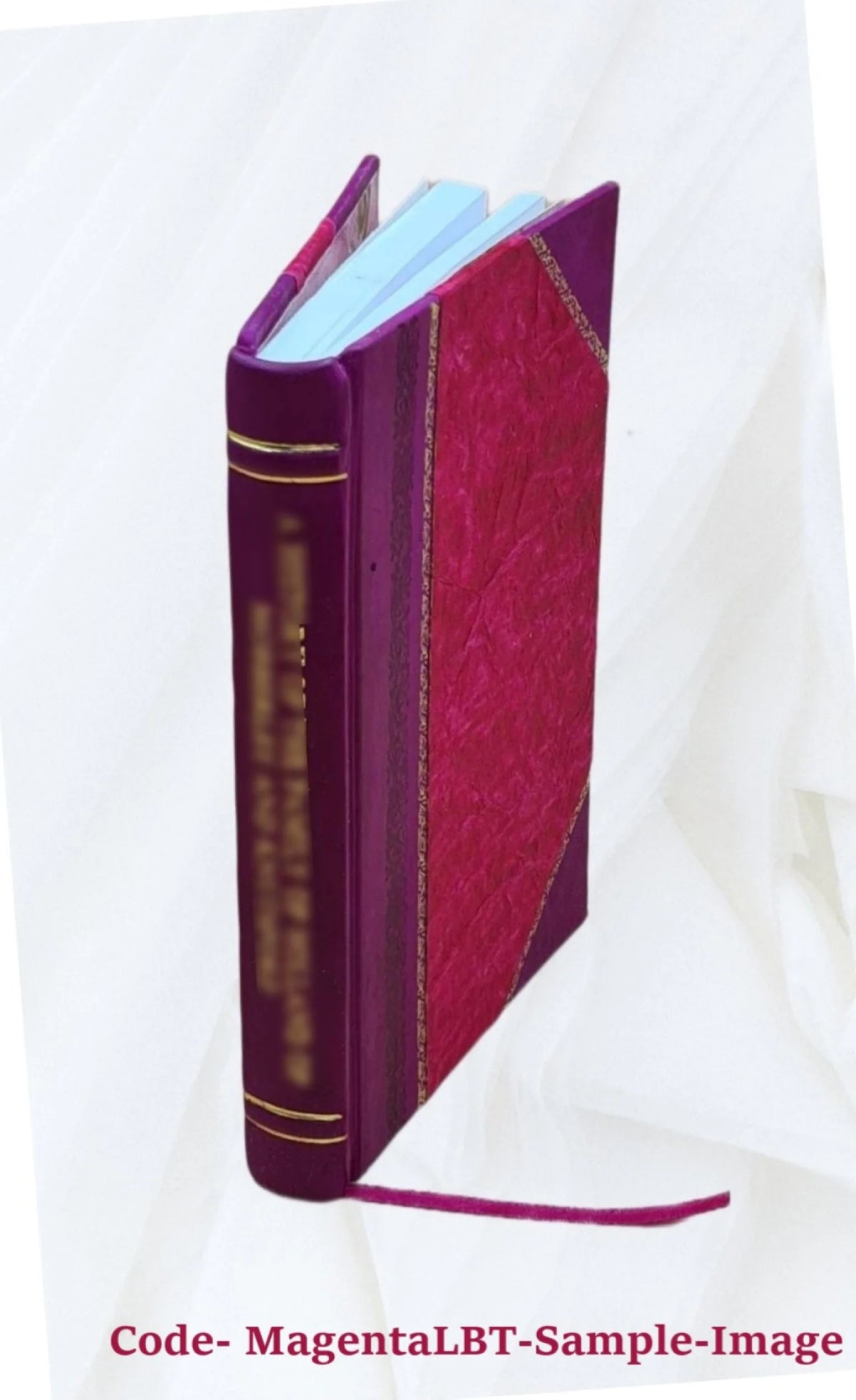Leather Bound Book A829