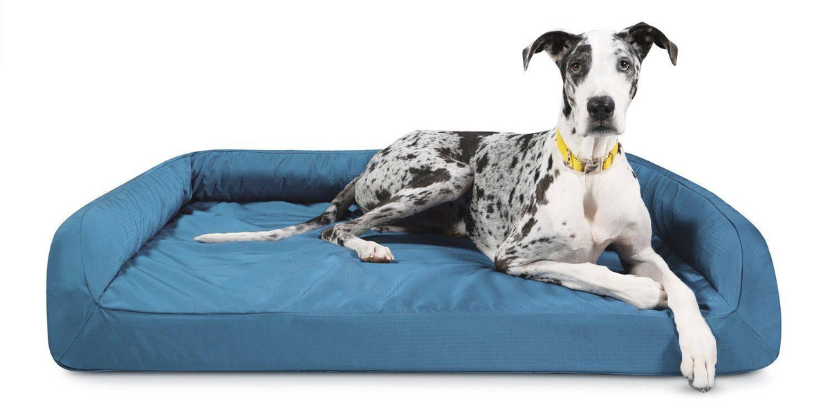 Orthopedic Dog Beds U49888