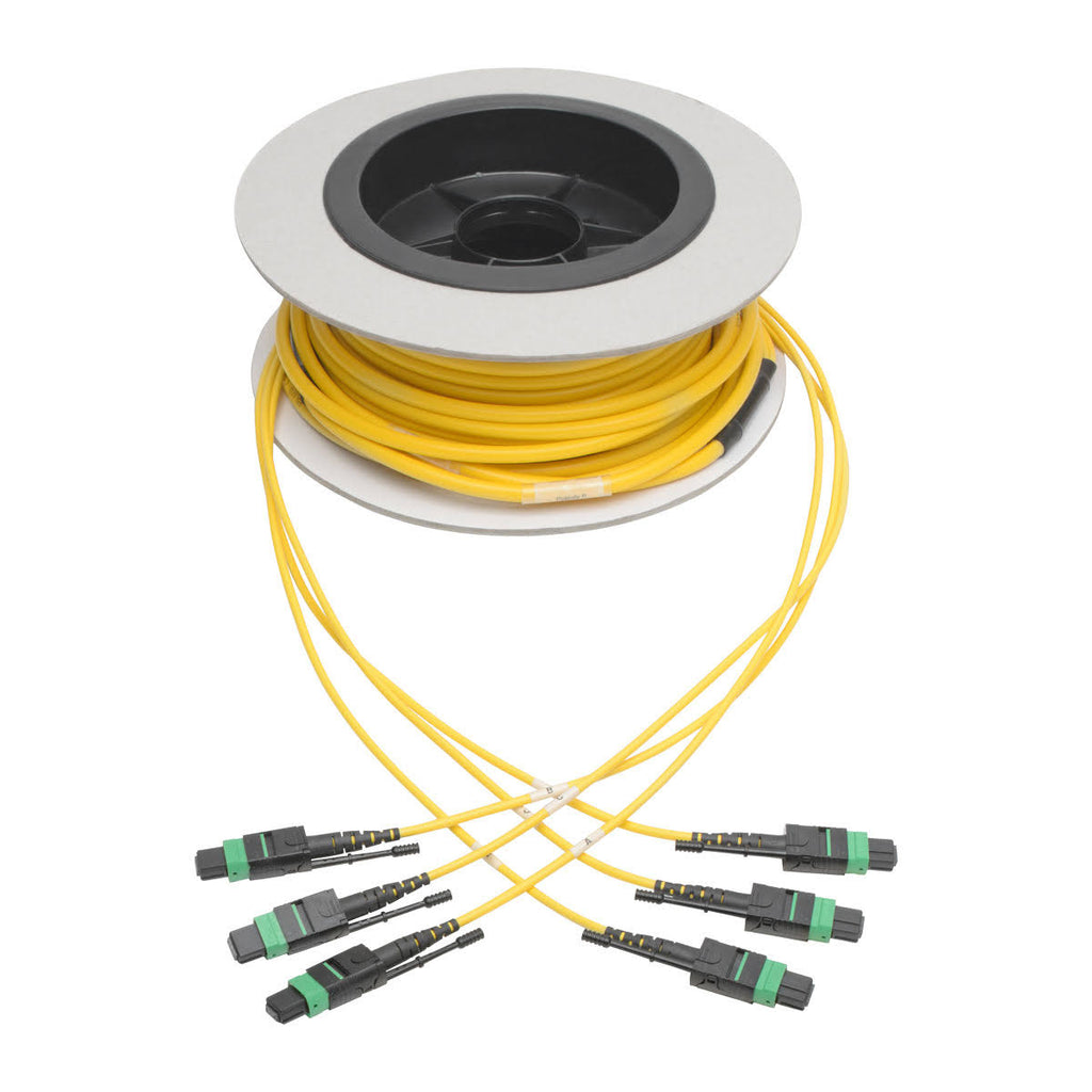MTP/MPO APC Singlemode Slim Trunk Cable 24-Strand 15m U290348