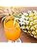 Pineapple Orange Juice 12 oz Bottles 24 Pack K296
