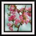 Photographic Print 32x22 Black Framed Q568