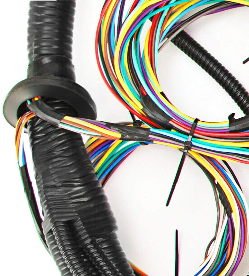Standalone Harness with Fuel Injector Connectors C20770