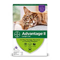 6 Treatment Cats Flea Treatment K527