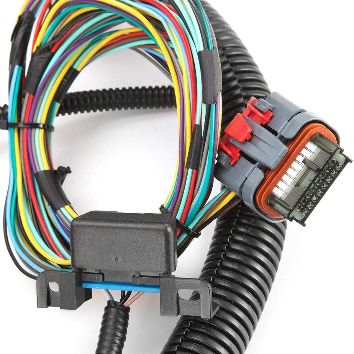Standalone Harness with Fuel Injector Connectors C20770