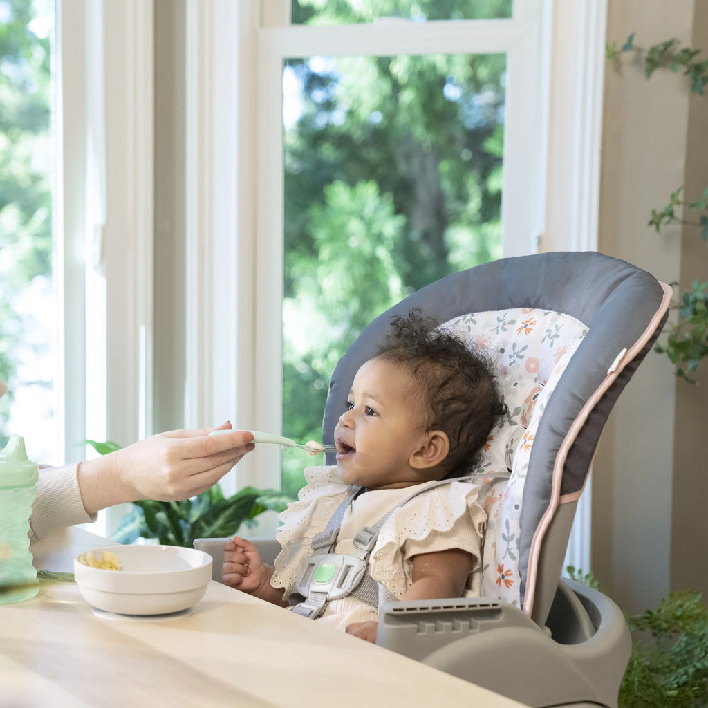 6-in-1 High Chair T250