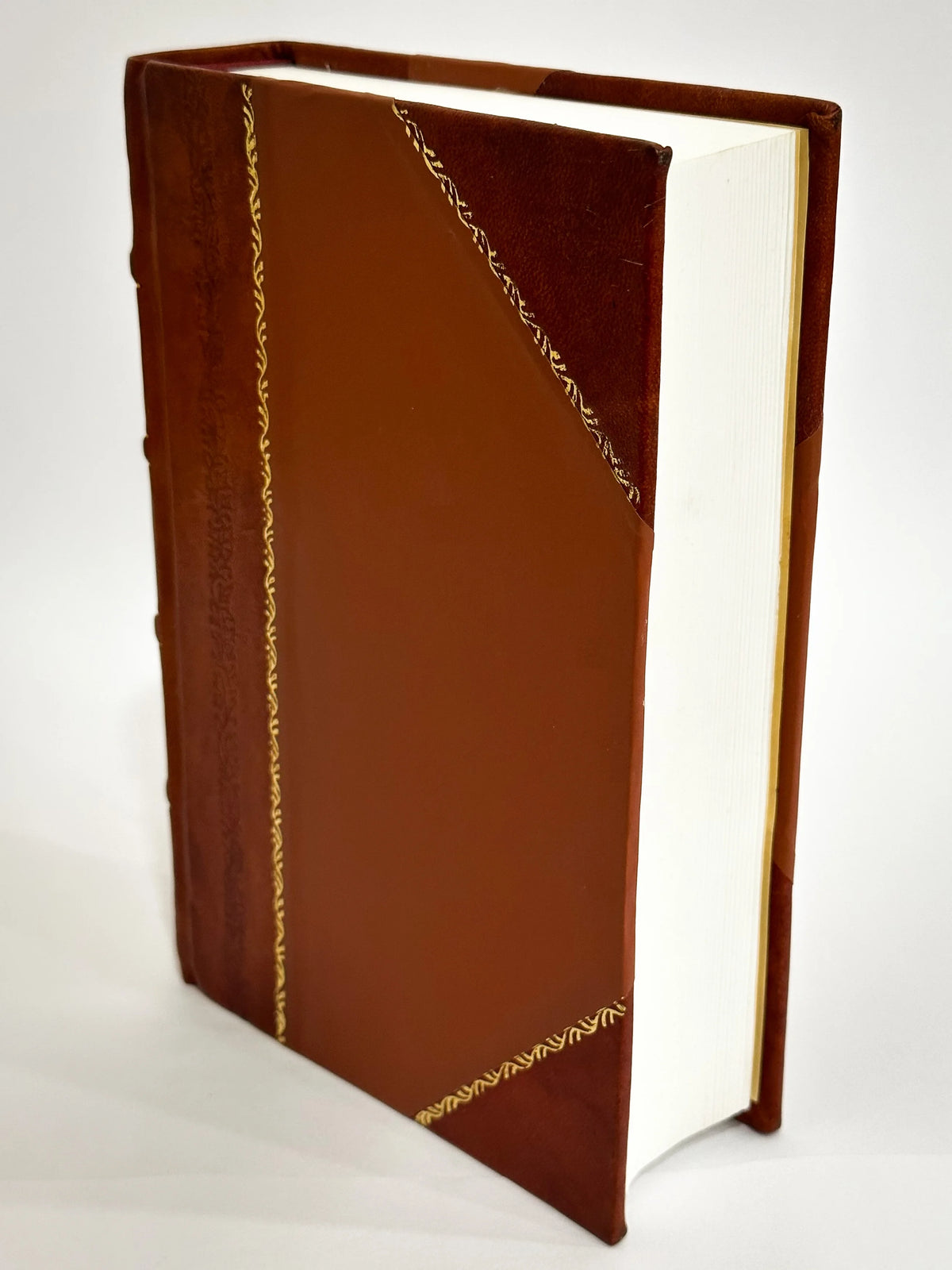 Leather Bound Book J819