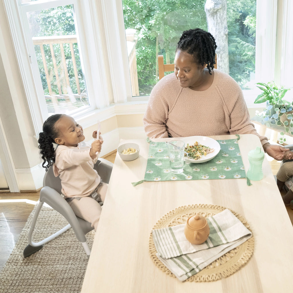 6-in-1 High Chair T250