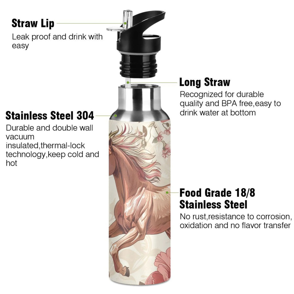 Insulated Thermos Stainless Steel Water Bottle with Straw Lid Flask, 20 oz P3055