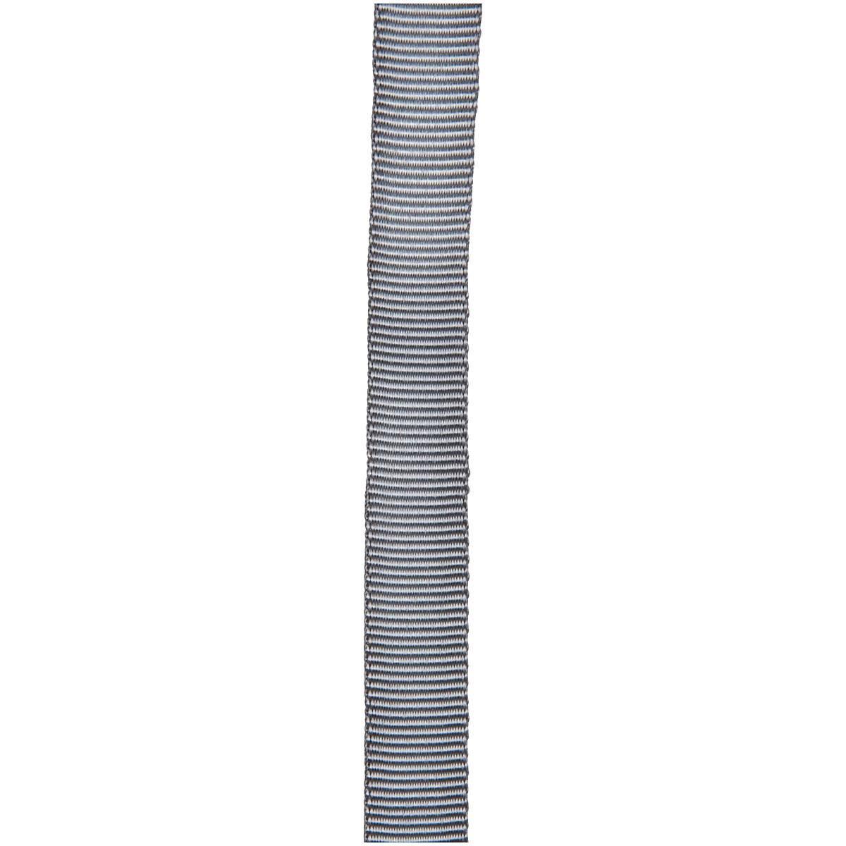 Silver Tube Web R98006