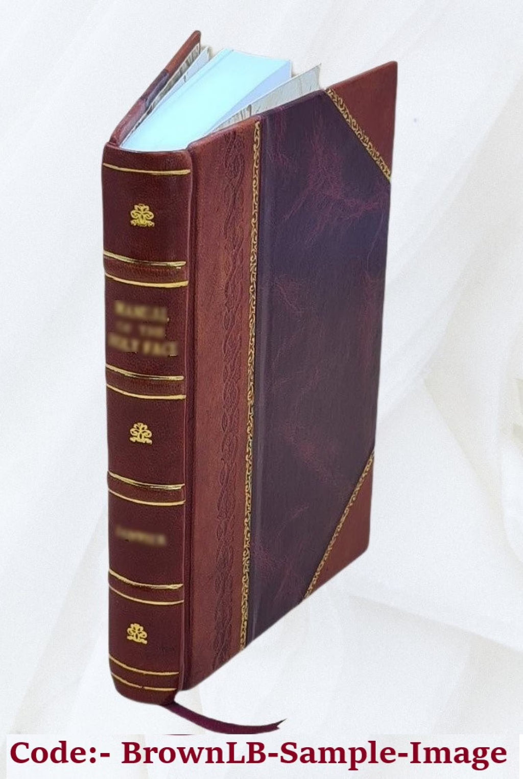Diplomates et publicistes. 1856 [Leather Bound] I3513