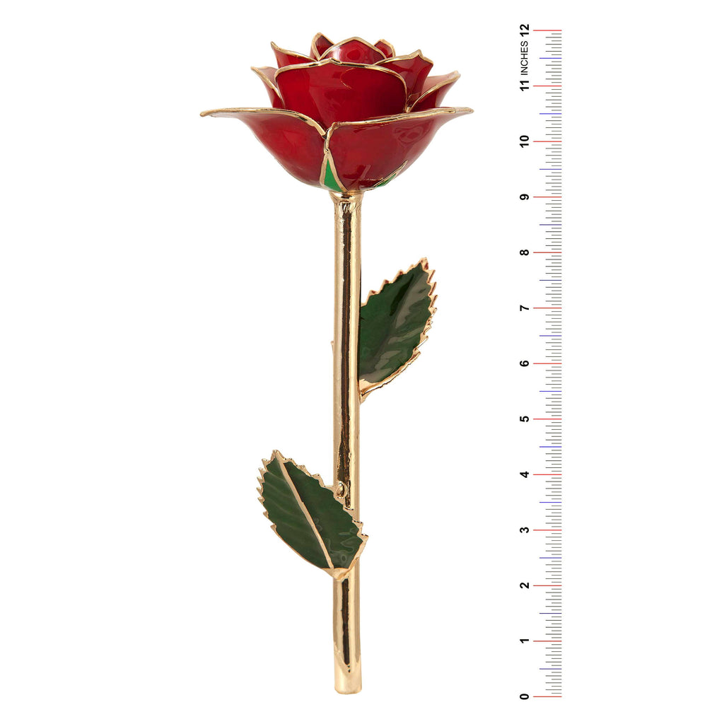 24K Gold Dipped Laquered Rose A613132