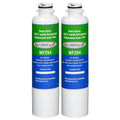 2 Pack Replacement Water Filter R978516
