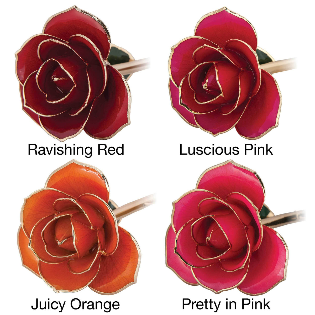 24K Gold Dipped Laquered Rose A613132