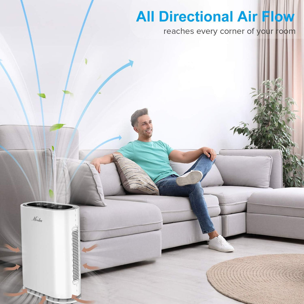HEPA Air Purifier with Activated Carbon Filter L6579