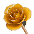 24K Gold Dipped Laquered Rose A613132
