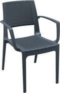Brown Resin Dining Arm Chair B645